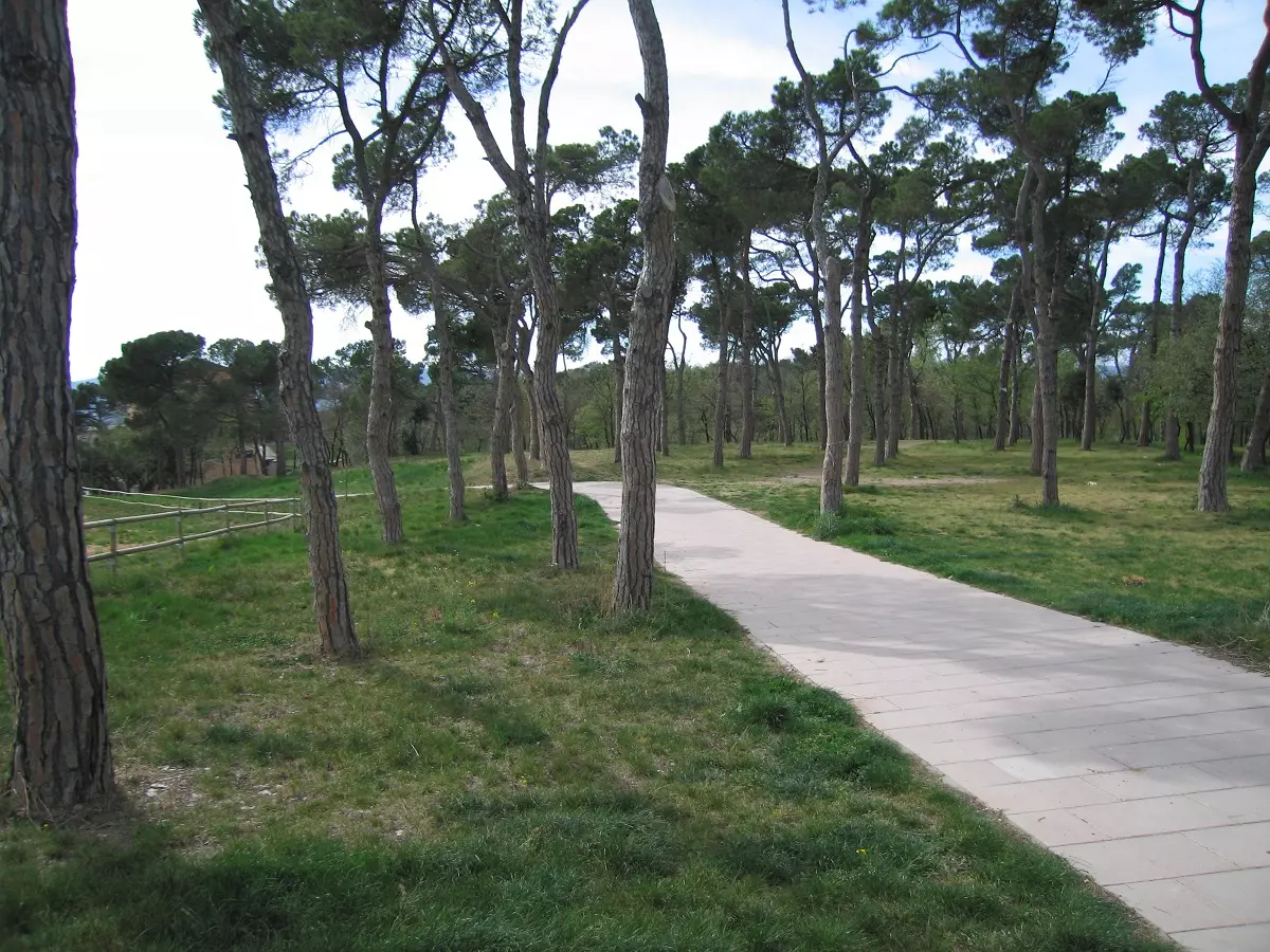Diseño de parques Palencia